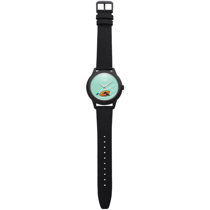 Watches Canardown